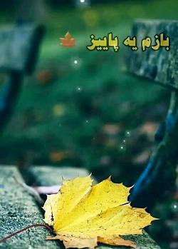 عکس استوری واتساپ پاییزی
