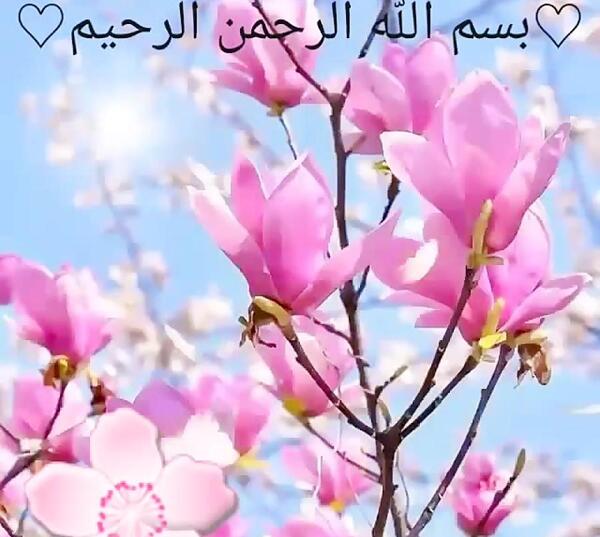 عکس بسم الله الرحمن الرحیم با طبیعت