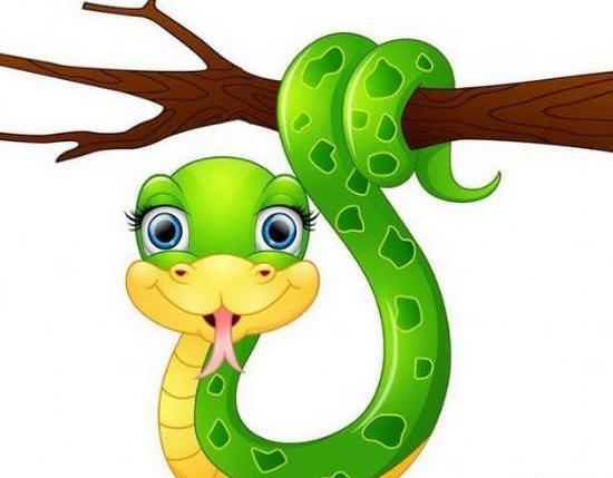 عکس مار فانتزی
