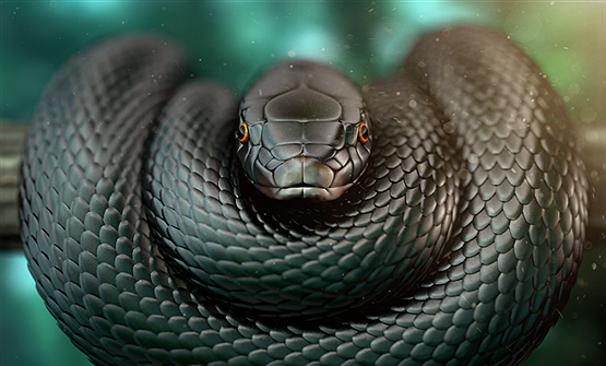 عکس مار چندش