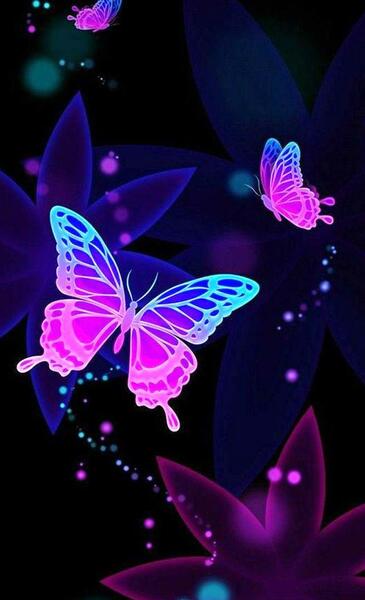 عکس تصویر زمینه پروانه