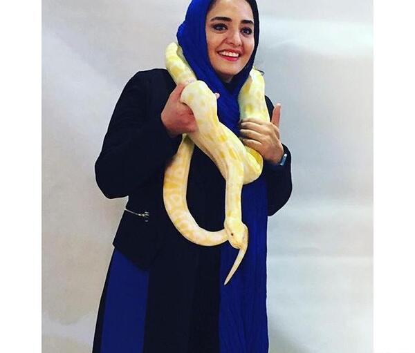 عکس مار زرد