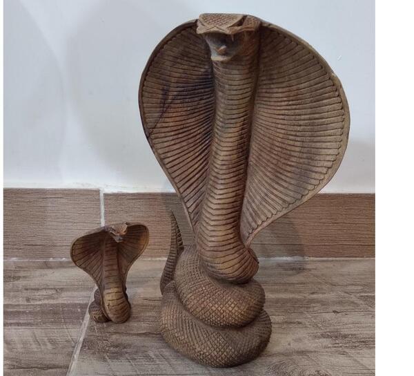 عکس مار چوبی