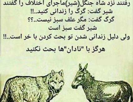عکس های انگیزشی گرگ