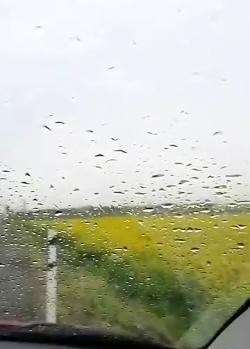 عکس استوری واتساپ هوای بارونی