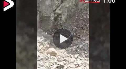 عکس مار نگهبان گنج