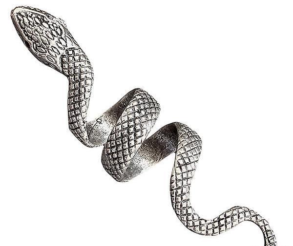 عکس مار انگشتری