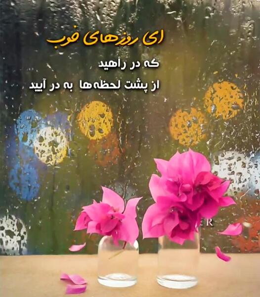 عکس استوری واتساپ زندگی زیباست