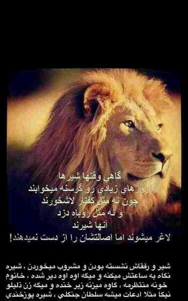 عکس نوشته سلطان جنگل