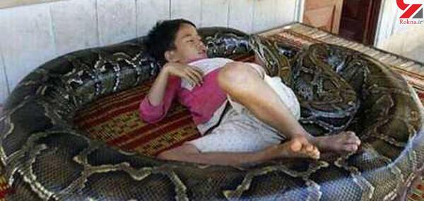 عکس مار بچه