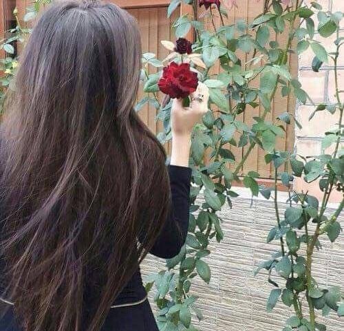عکس دختر از پشت سر غمگین