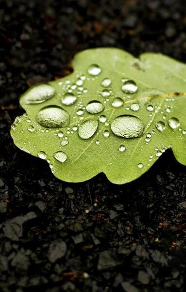 عکس تصویر زمینه برای گوشی