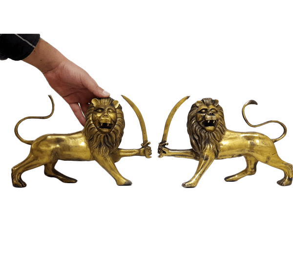عکس شیر شمشیر