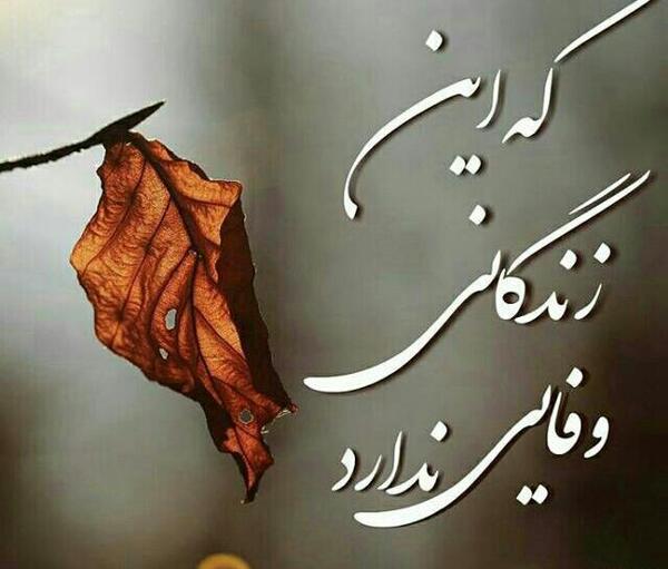 عکس نوشته قدر همو بدونیم
