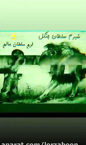 عکس شیرم سلطان جنگل لرم سلطان عالم