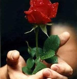 عکس های آرامش روح و روان