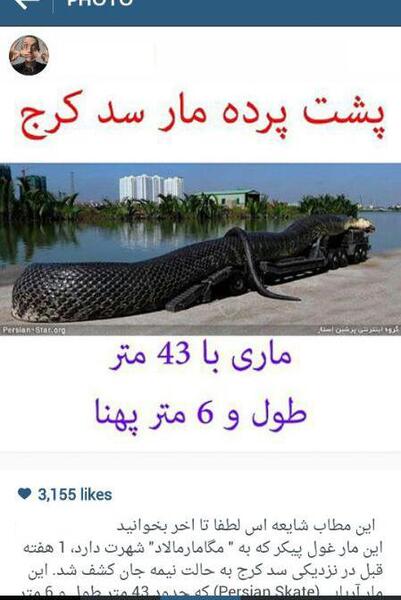 عکس مار سد کرج