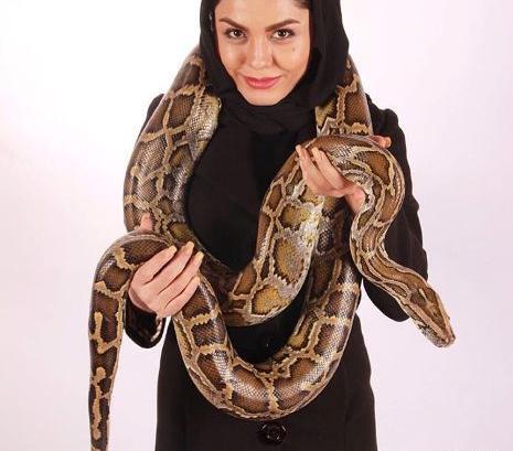عکس مار جدید