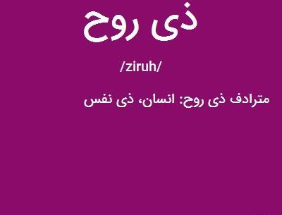 عکس ذی روح چیست