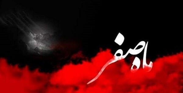 عکس ذی روح چیست