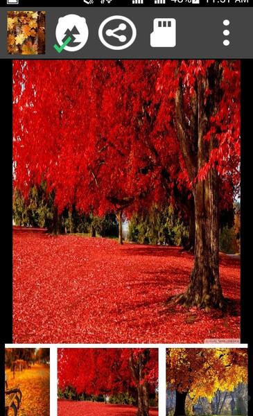 عکس تصویر زمینه پاییز