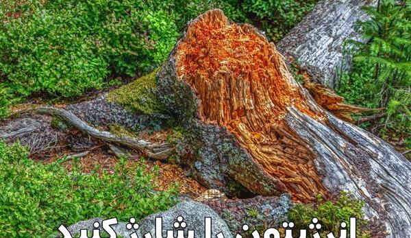 عکس انگیزشی طبیعت