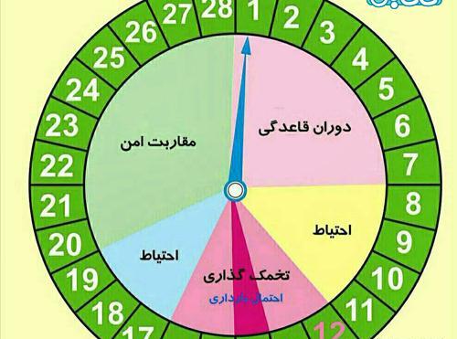 عکس موفقیت نزدیک است