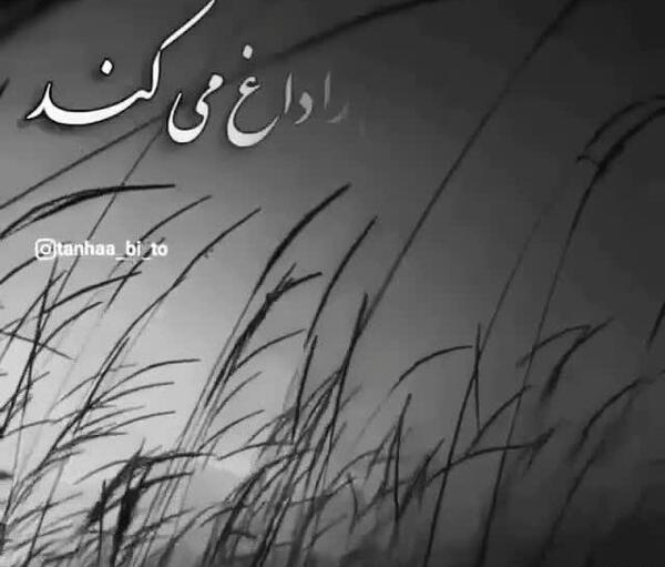 عکس استوری واتساپ روزگار