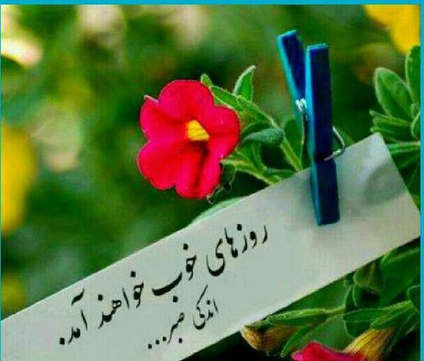 عکس انگیزشی گل