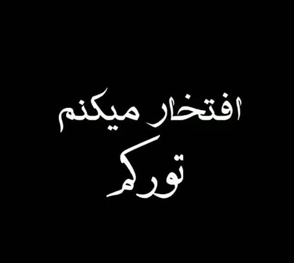 دانلود عکس شیرم سلطان جنگل ترکم سلطان عالم