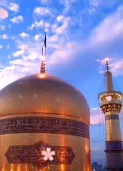 عکس استوری واتساپ صلوات خاصه امام رضا