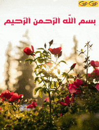 عکس بسم الله الرحمن الرحیم گیف