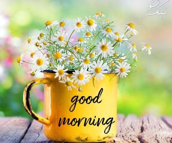 عکس انگیزشی صبحگاهی