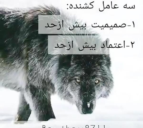 عکس استوری واتساپ نصیحت