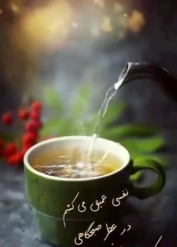 عکس استوری واتساپ صبح