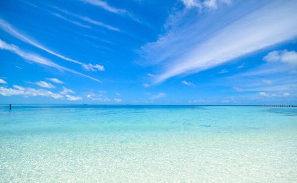 عکس تصویر زمینه آرامش دهنده