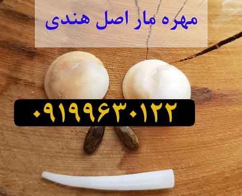 عکس انواع مهره ی مار