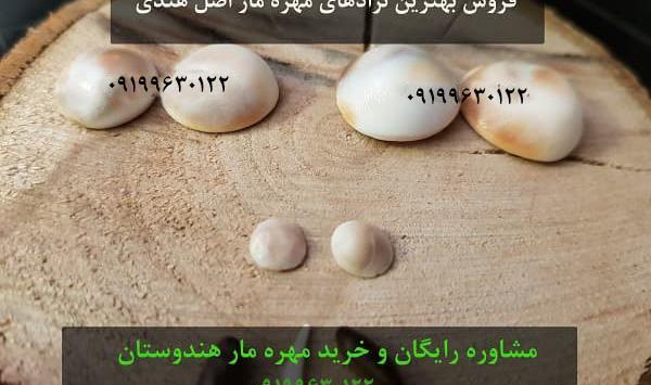 عکس انواع مهره ی مار