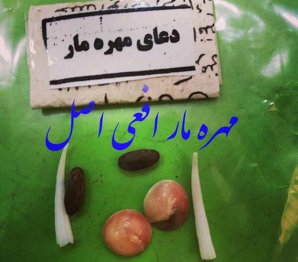 عکس انواع مهره ی مار
