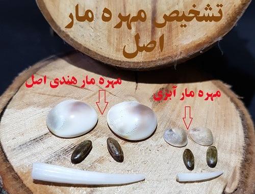 عکس انواع مهره ی مار