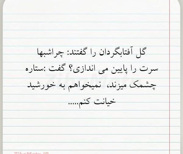 عکس نوشته گل آفتابگردان