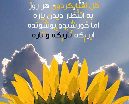 عکس نوشته گل آفتابگردان