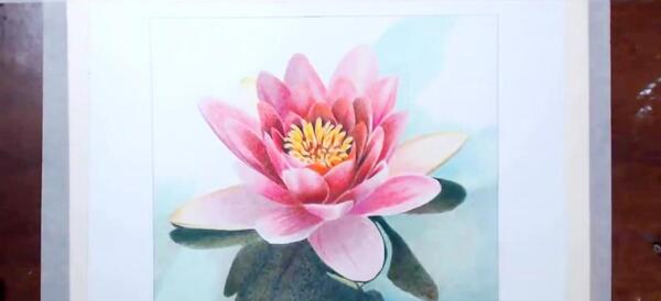 عکس نقاشی گل نیلوفر