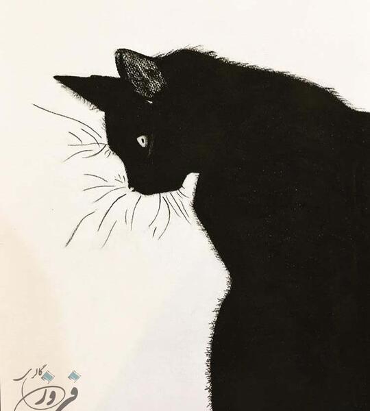 عکس نقاشی گربه