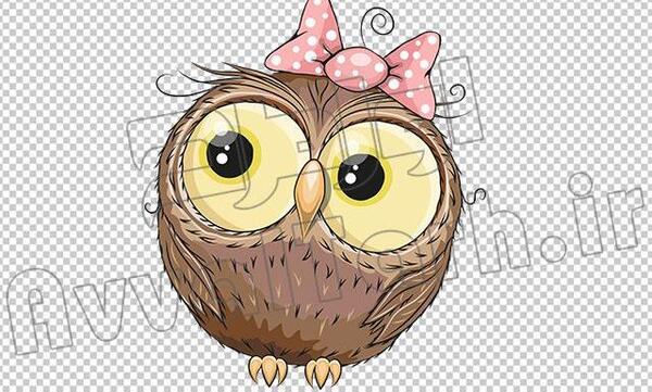 عکس نقاشی جغد