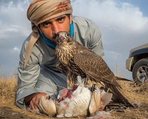 عکس شاهزاده دبی