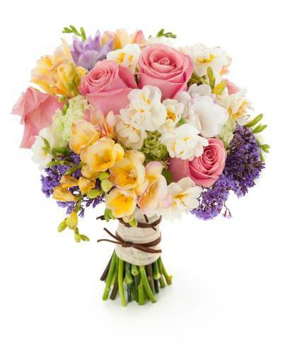 عکس نقاشی گل عروس