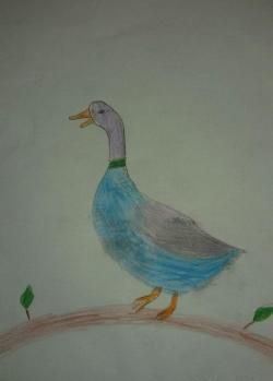 عکس نقاشی غاز