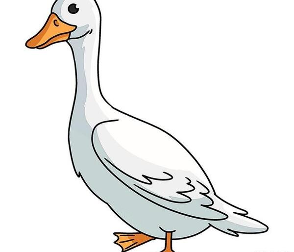 عکس نقاشی غاز