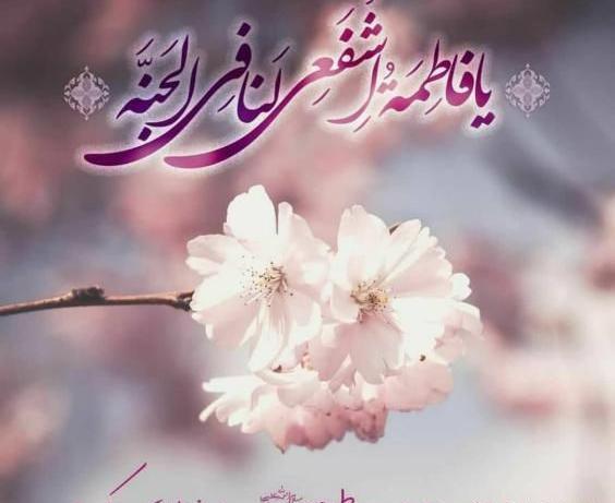 عکس ولادت دختر